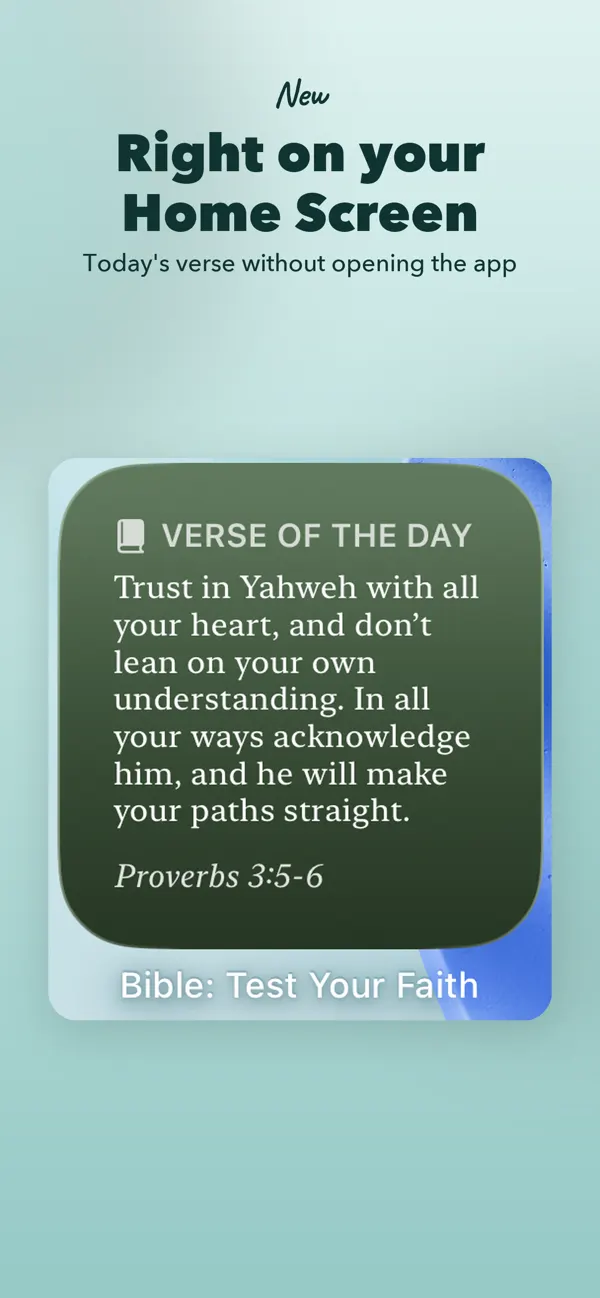 Bible: Test Your Faith screenshot 4